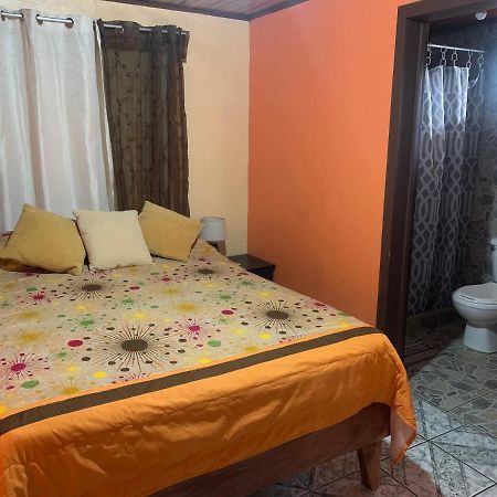 Monteverde Monkey Hostel Ngoại thất bức ảnh