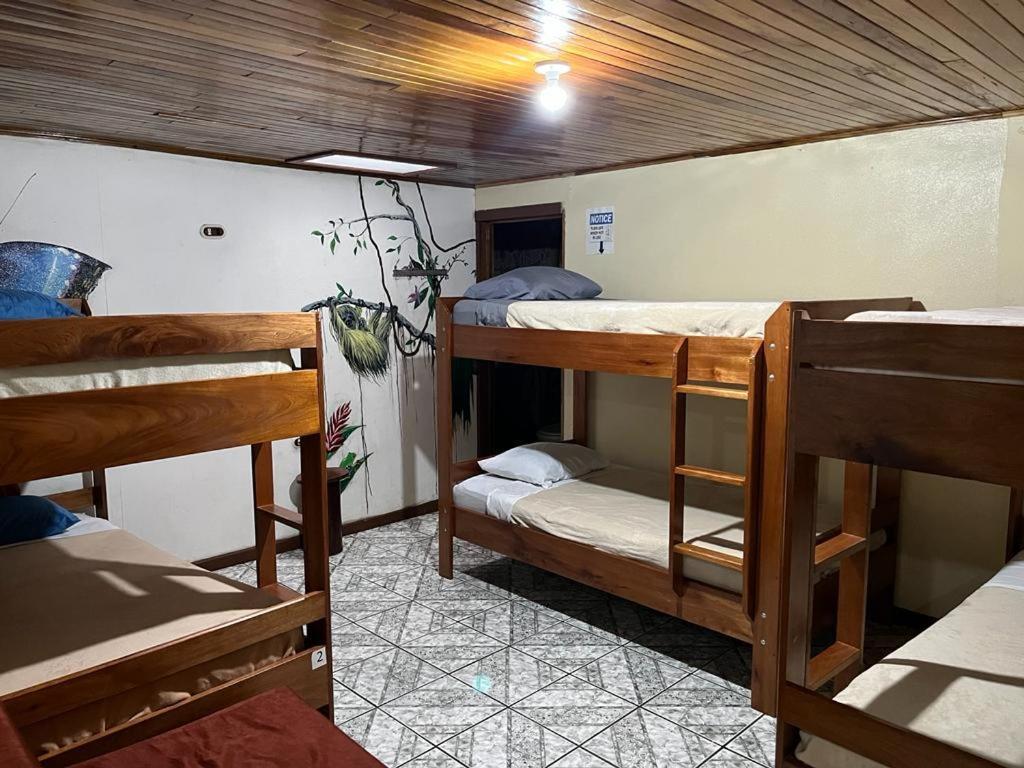 Monteverde Monkey Hostel Ngoại thất bức ảnh