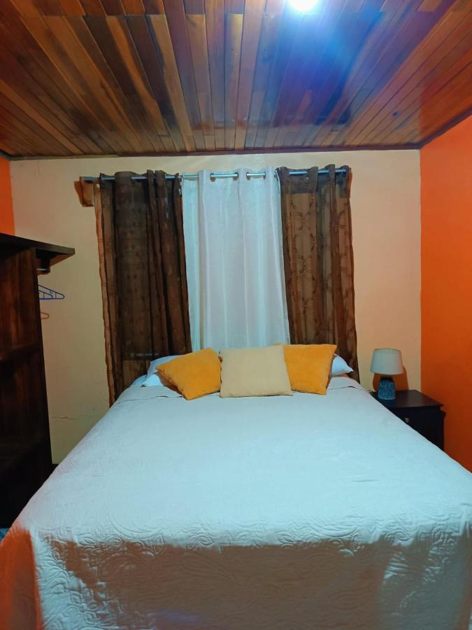 Monteverde Monkey Hostel Ngoại thất bức ảnh